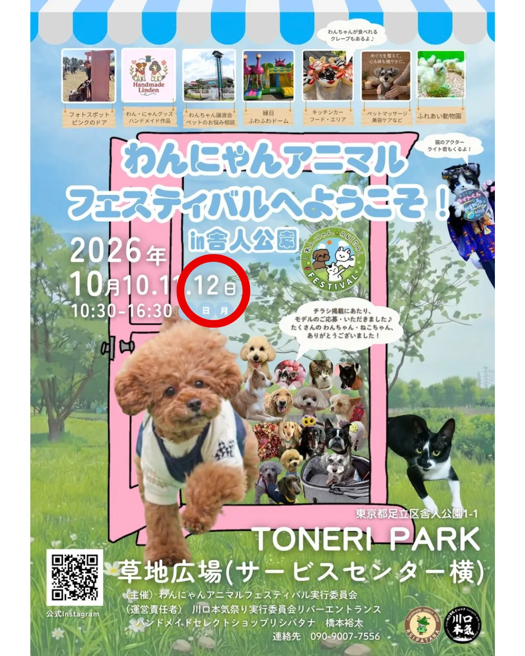 今回も出店します！舎人公園わんにゃんフェス｜アイドレ＆耳つぼ